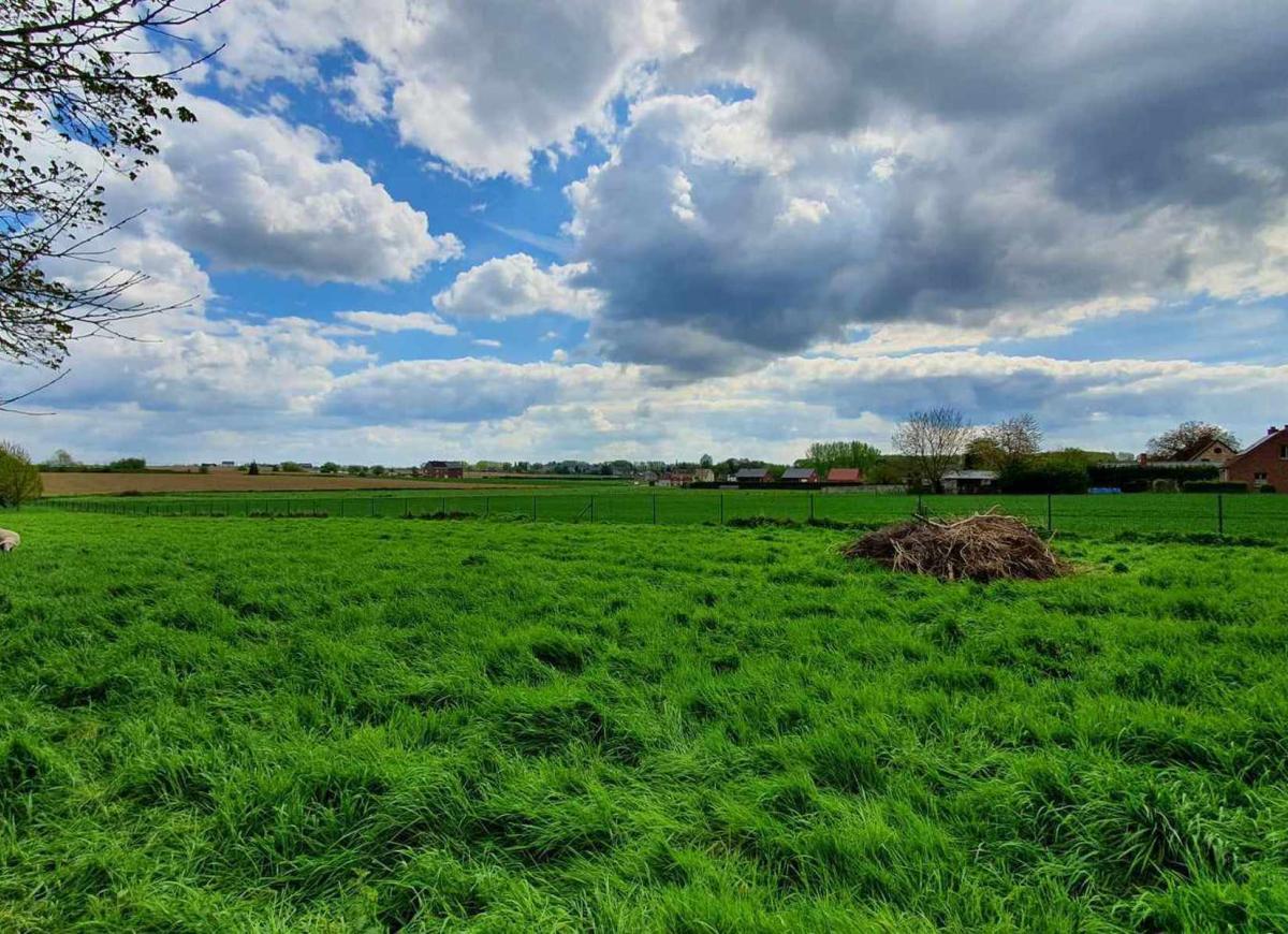 Brugelette Mévergnieslez-Lens