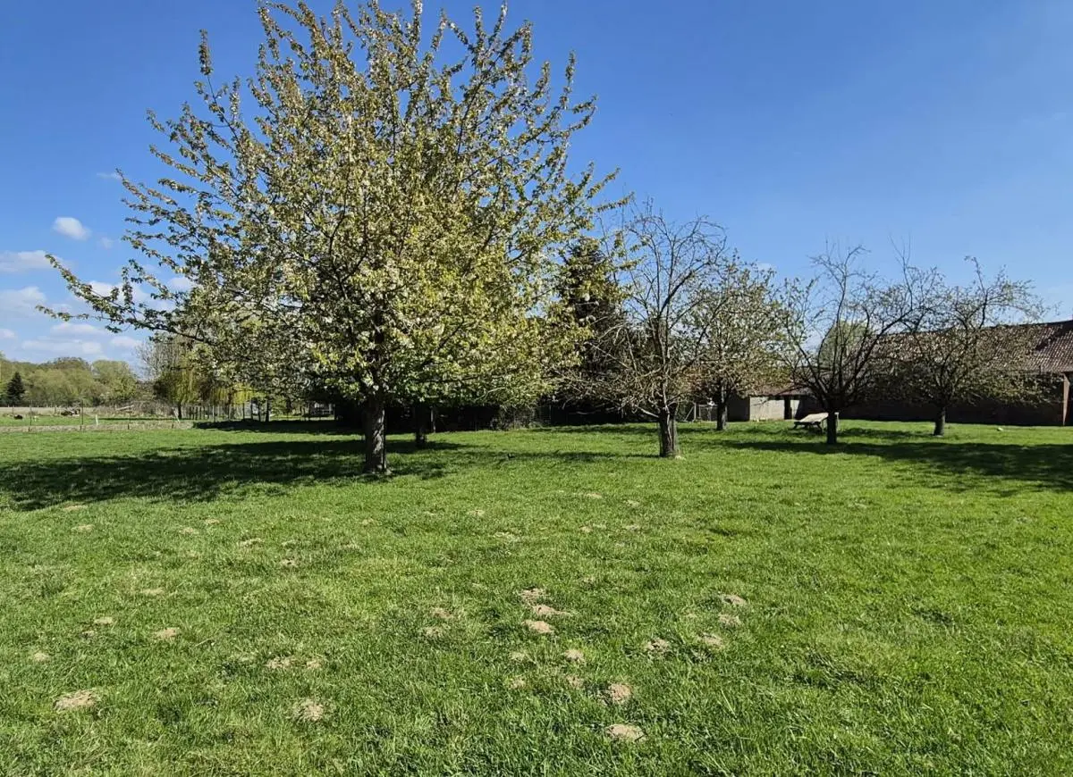 Enghien Petit-Enghien